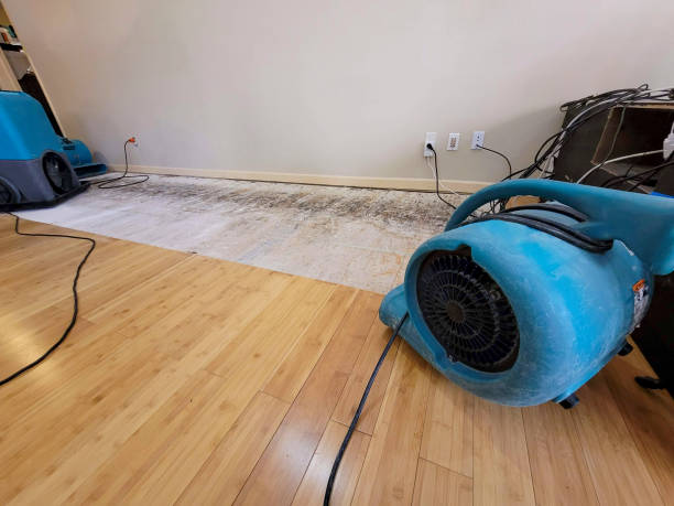 Professional Flood Damage Cleanup technician working in Meadow, TX
